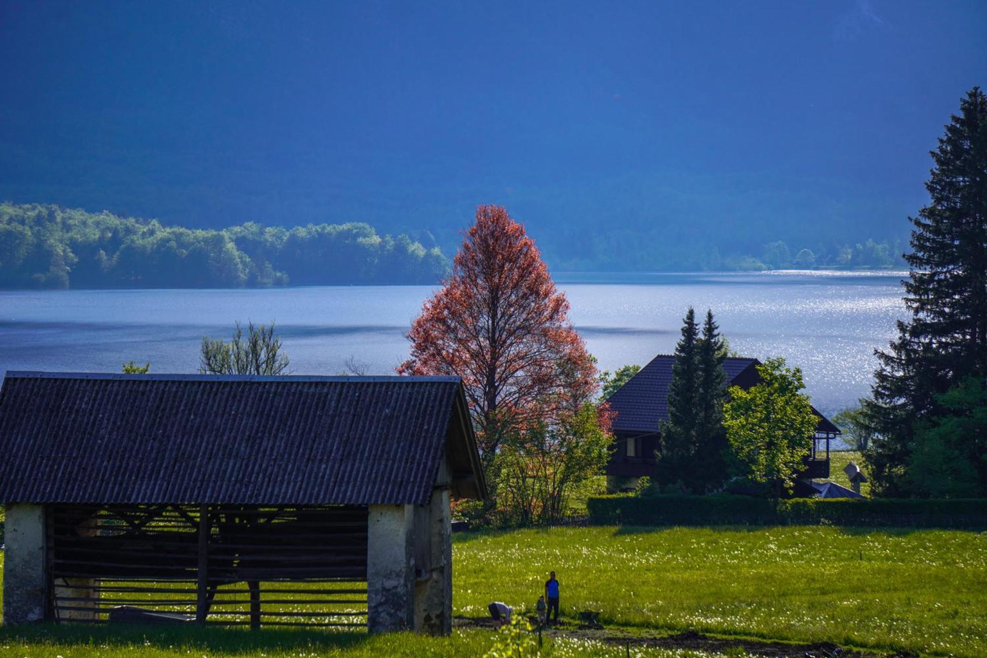 Residence Aurora, Bohinj Eksteriør billede